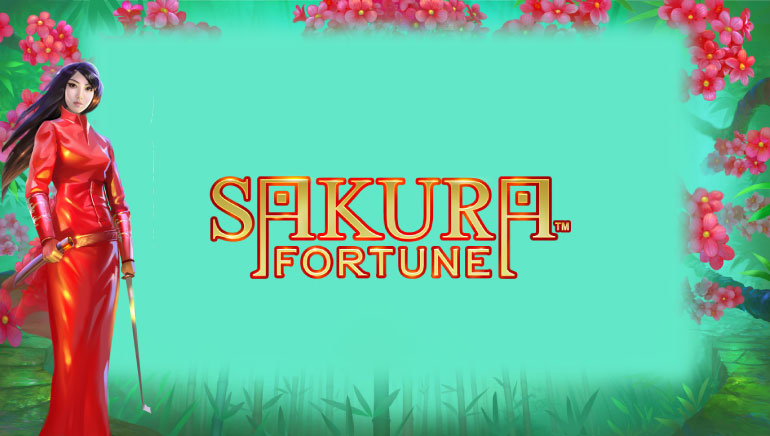 1xSlots Casino, 5. képernyőfotó